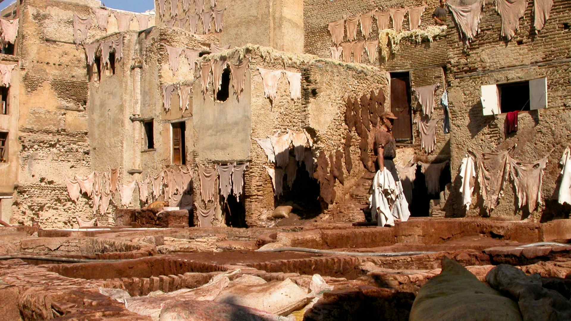 Best tours in Meknes Morocco