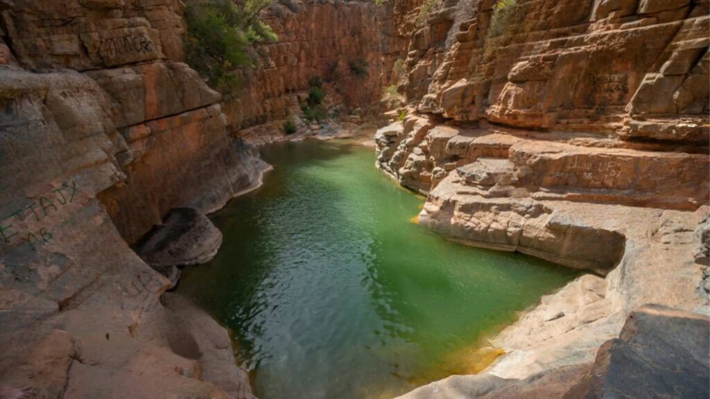 Natural rock pools and palm trees in Paradise Valley