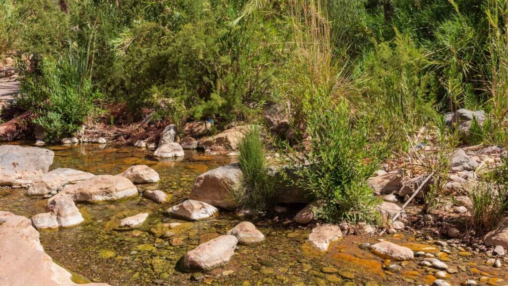 Paradise Valley tour from Agadir