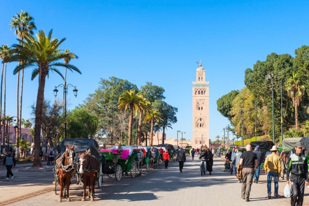Tours and activities in Morocco starting in Marrakech near Koutoubia Mosque