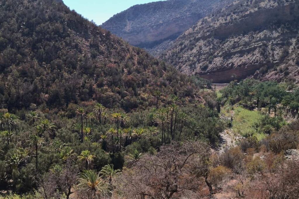 Paradise Valley near Agadir with palm trees and Anti-Atlas mountain landscape